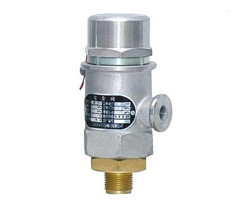 进口低温安全阀 进口低温安全阀